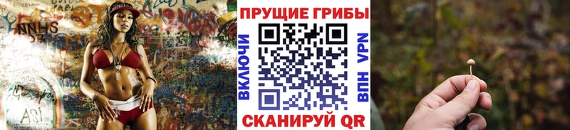 omg как зайти  где можно купить наркотик  Карабаново  Псилоцибиновые грибы Cubensis 